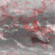 2007011201.00F.IR1.gif