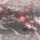 2007011210.01F.IR1.gif