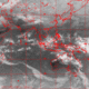 2007011210.01F.IR2.gif