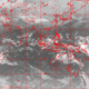 2007011217.01F.IR1.gif