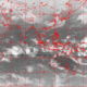 2007022123.00F.IR1.gif