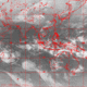 2007022620.01F.IR1.gif