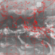 2007030319.01F.IR2.gif