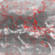 2007030321.01F.IR1.gif