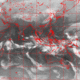 2007030322.01F.IR1.gif