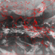 2007030421.01F.IR2.gif