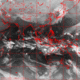 2007030422.01F.IR1.gif