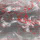 2007031111.00F.IR1.gif