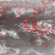 2007031313.01F.IR2.gif