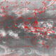 2007031320.01F.IR1.gif