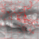 2007031400.01F.IR3.gif