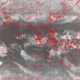 2007031520.01F.IR1.gif