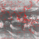 2007031521.01F.IR2.gif