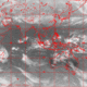 2007031601.01F.IR1.gif