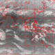 2007031611.00F.IR1.gif