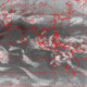 2007031611.00F.IR2.gif