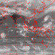 2007040310.01F.IR1.gif