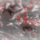 2007041405.30F.IR1.gif