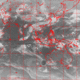 2007041416.01F.IR1.gif