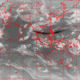 2007041417.01F.IR1.gif