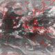 2007041420.01F.IR1.gif