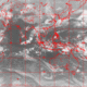 2007041421.01F.IR1.gif