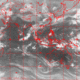 2007041500.00F.IR1.gif