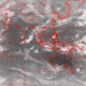 2007041501.00F.IR1.gif