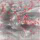 2007041510.01F.IR3.gif