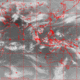 2007041611.31F.IR1.gif