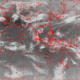 2007041611.31F.IR2.gif