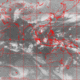 2007041620.01F.IR1.gif