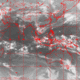 2007041820.01F.IR1.gif