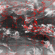 2007041823.30F.IR1.gif