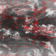 2007041823.30F.IR2.gif