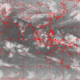 2007041916.01F.IR1.gif