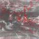 2007042115.01F.IR2.gif