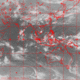 2007042116.01F.IR1.gif