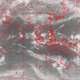 2007042523.30F.IR1.gif