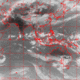 2007042605.30F.IR1.gif