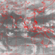 2007042818.01F.IR1.gif