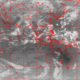 2007092500.01F.IR1.gif