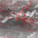 2007100218.01F.IR2.gif