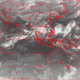 2007100221.01F.IR1.gif