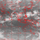 2007100313.00F.IR1.gif