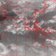 2007100811.00F.IR1.gif