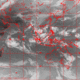 2007101010.00F.IR1.gif