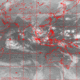 2007101019.01F.IR1.gif