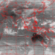 2007101106.00F.IR1.gif