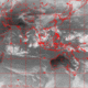 2007101107.00F.IR1.gif